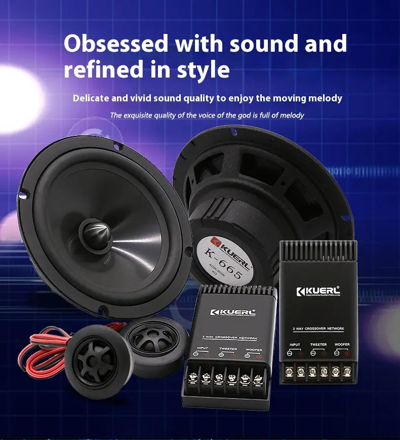 Car Audio Modification Front Door Speaker