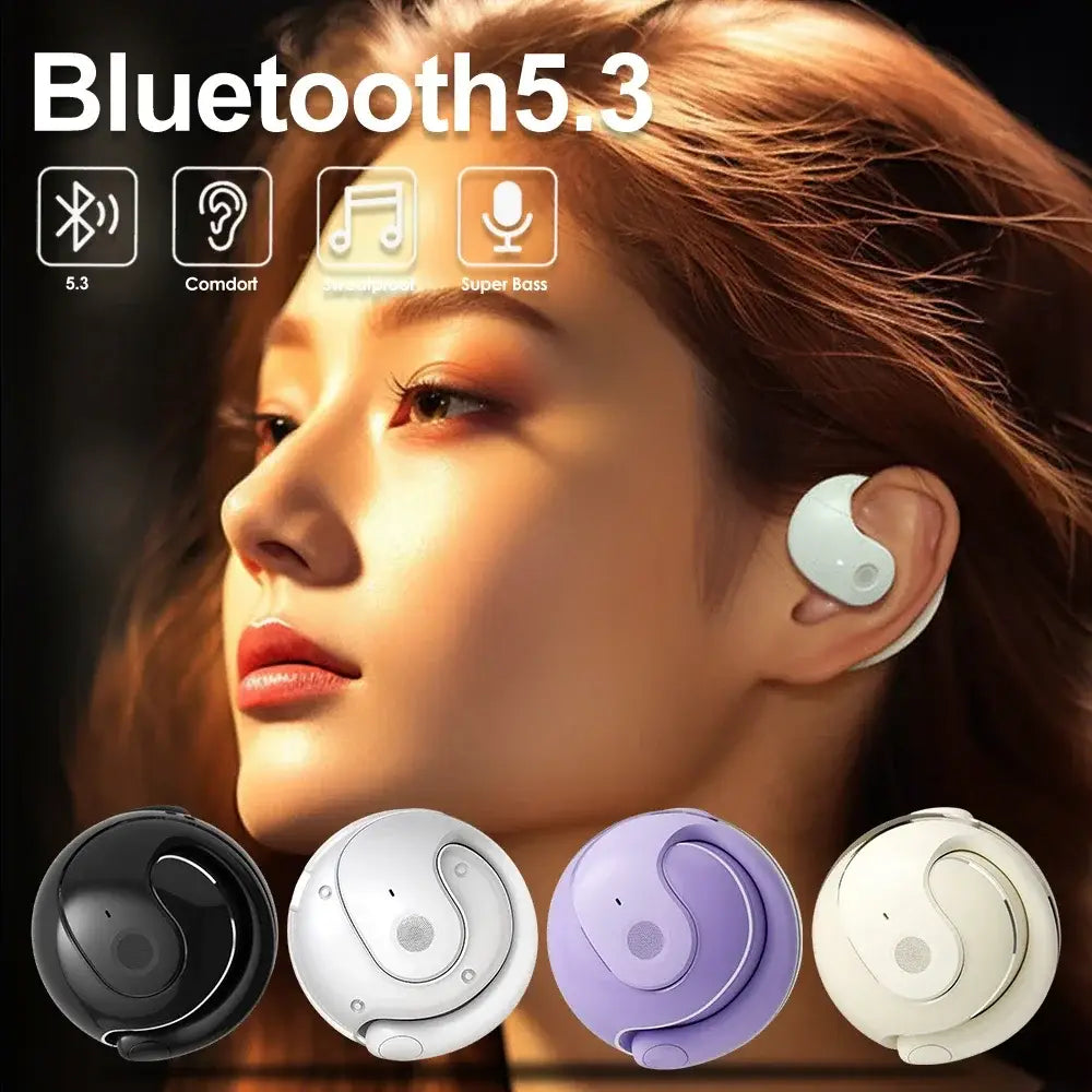 outdoor sport dustproof Noise reduction wireless bluetooth 5.3 comfort earhook earbuds earphones