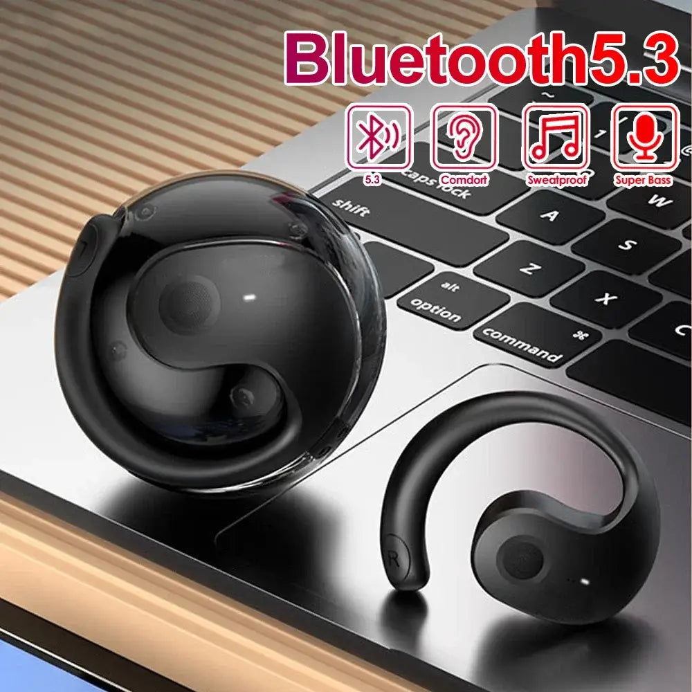 outdoor sport dustproof Noise reduction wireless bluetooth 5.3 comfort earhook earbuds earphones