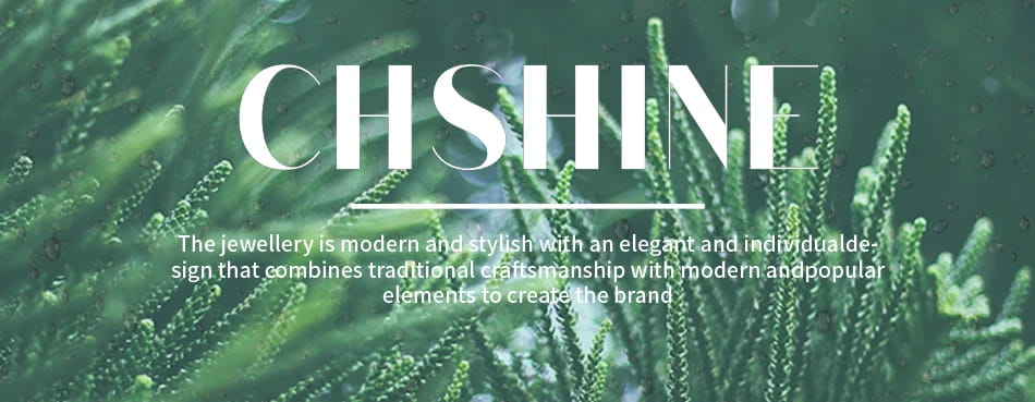 New streetwear 925 Sterling Silver Shiny Zircon diamond Rings For Women Wedding Party Gifts fine Jewelry engagement