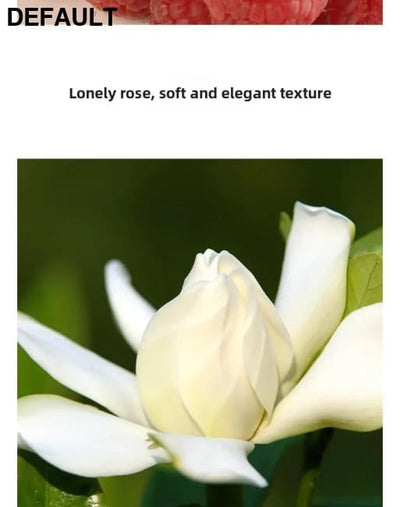 Women Perfume High Quality Classic Elegant Eau De Parfum Long Lasting Floral Woody Scents Exquisite Fragrance Trio