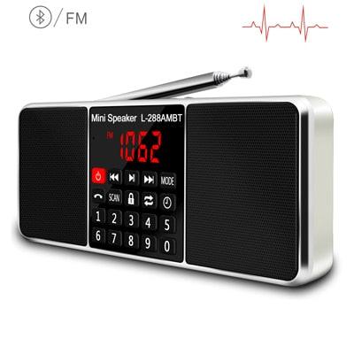 Lefon Digital Portable Radio AM FM Bluetooth Speaker Stereo MP3 Player TF/SD Card USB Drive Handsfree Call LED Display Speakers