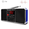 Lefon Digital Portable Radio AM FM Bluetooth Speaker Stereo MP3 Player TF/SD Card USB Drive Handsfree Call LED Display Speakers - DRE's Electronics and Fine Jewelry